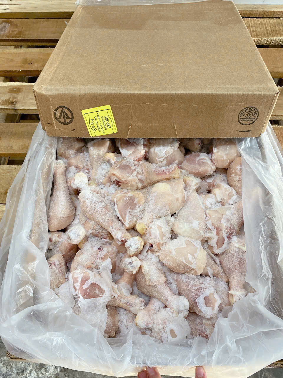 Ký hợp đồng cung cấp tỏi gà lâu dài – Giá ổn định